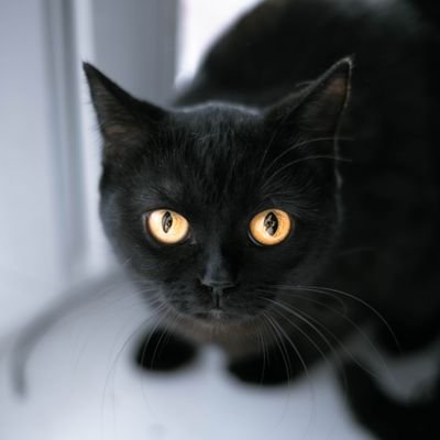 David3319325439's profile picture. 