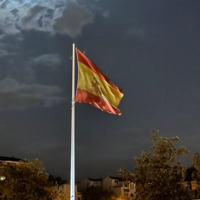 DiegoGo48593901's profile picture. 