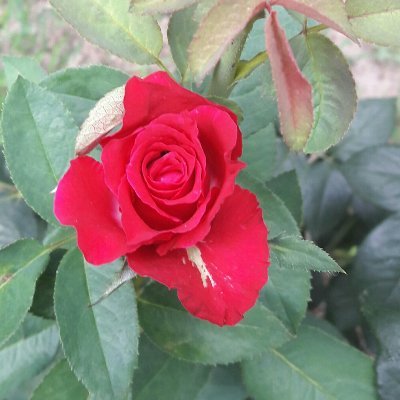 cbt7889's profile picture. $AUKI   #Metatime