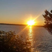 Ruben (@rubencho1120) 's Twitter Profile