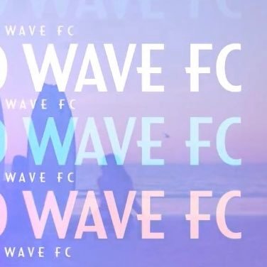sdwfc blog // the first and only place dedicated to covering San Diego Wavé FC ***so far***
