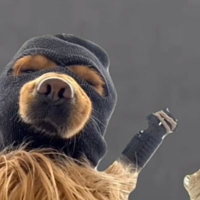 JGogolin_28's profile picture. 