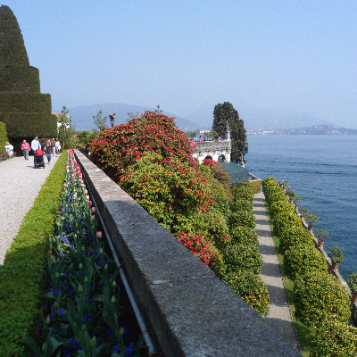 lissas987's profile picture. 