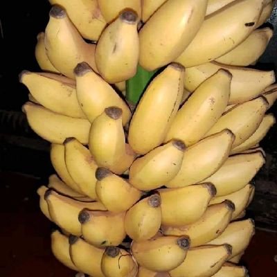 HesbonNyab90644's profile picture. 