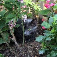 sadiemarie (@nextlevel369) 's Twitter Profile