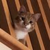kat (@skywatcher2_0) Twitter profile photo kat (@skywatcher2_0) Twitter profile photo