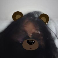 Areya🦝🌸 (@areytara) 's Twitter Profile