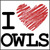 myowlbarn's profile picture. For all owl lovers.
