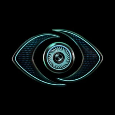 The official Big Brother Massively Multiplayer Online Reality TV competition.  Are you ready to play?