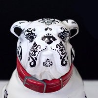 Mascota Tequila (@tequilamascota) 's Twitter Profile
