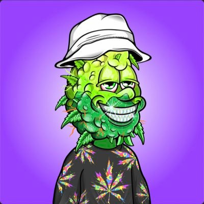 SkeetercoinE's profile picture. web3 enthusiast