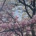 Laurence L.🍓 (@levraylaurence) Twitter profile photo Laurence L.🍓 (@levraylaurence) Twitter profile photo