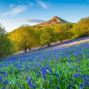 Yorkshiredays Profile Picture