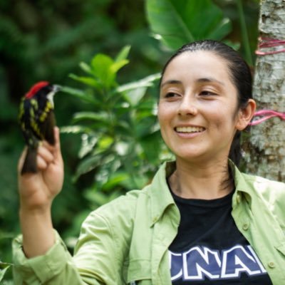 PhD Student Ecology, Evolution and Conservation @UofIllinois | 🇨🇴 Biologist | Ecology | Evolution | Ornithology | Host-symbiont associations | #WomeninSTEM