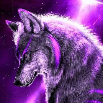 LivzyLunawolf Profile Picture