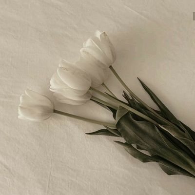 Valenti32580371's profile picture. ...