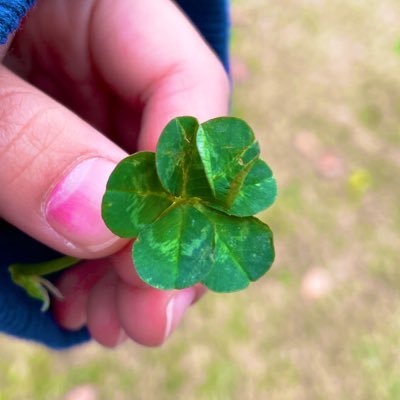 子育ての合間にイケメンで癒されてる主婦です❤︎