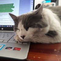 Richard Ramírez (@richimirez) 's Twitter Profile