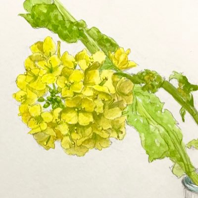 多摩美 日本画 2年🌼