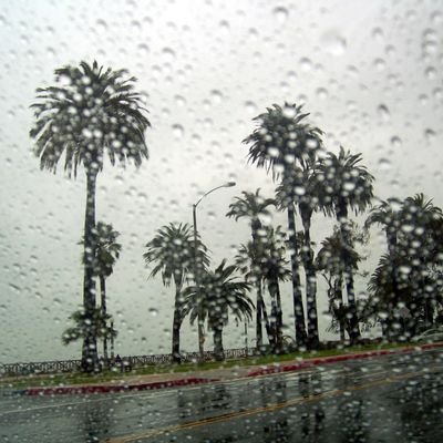 LosAngeles_Rain Profile Picture