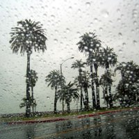 #LArain(@LosAngeles_Rain) 's Twitter Profile Photo