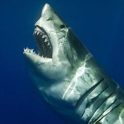 rrags10's profile picture. 