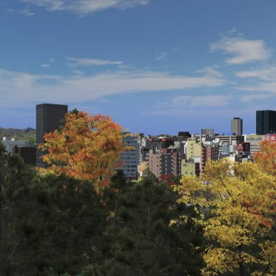 naoya981758274's profile picture. citesskylinesで街作りしてます！ 🙇 たまにどーでも良いことつぶやくかも。