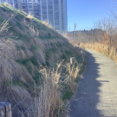 yaakovmfine's profile picture. 