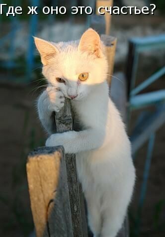 Анна Ветошкина