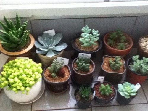 KDWsteelmania's profile picture. 