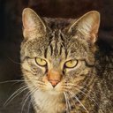 Tammy Sample - @TammySa75632380 - Twitter