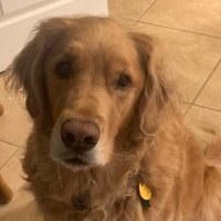 Susan Elliott (@skelliottsusan) 's Twitter Profile Photo Susan Elliott (@skelliottsusan) 's Twitter Profile Photo