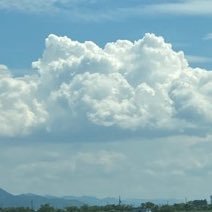 kabizumari's profile picture. 