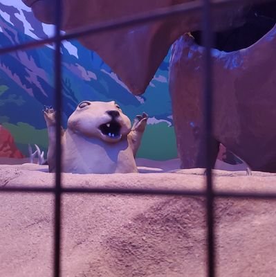 amp326's profile picture. 