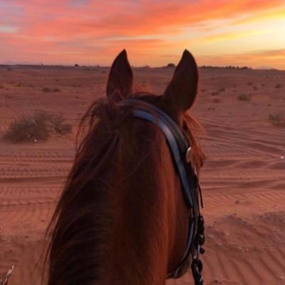 رحم الله أبي ، رحم الله ظلي الحنون ، وجمعني الله به في جنات النعيم ♥️.