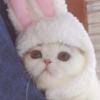 ã¿ãããð« (@xx_s1ax) 's Twitter Profile