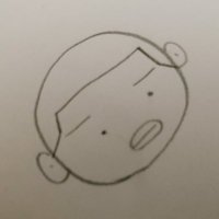 こたぴょん (@pyonkichipyon4) 's Twitter Profile
