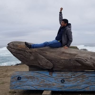 Living systems and music!
Graduate Researcher | Prakash Lab | Department of Bioengineering, Stanford University