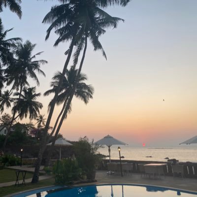 alonmuskz's profile picture. 