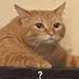 sebastian (@sebasti29260068) Twitter profile photo sebastian (@sebasti29260068) Twitter profile photo