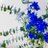hanasann_873