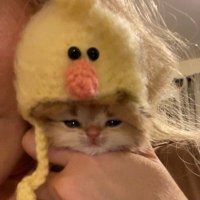 yaren't (@yarenerkamoglu) 's Twitter Profile