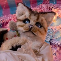 猫宮 麿 (@n_maro) 's Twitter Profile Photo 猫宮 麿 (@n_maro) 's Twitter Profile Photo