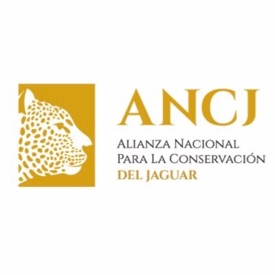 ANCJ: Alianza Nacional Conservación Jaguar
