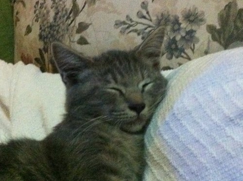 zainabms's profile picture. 