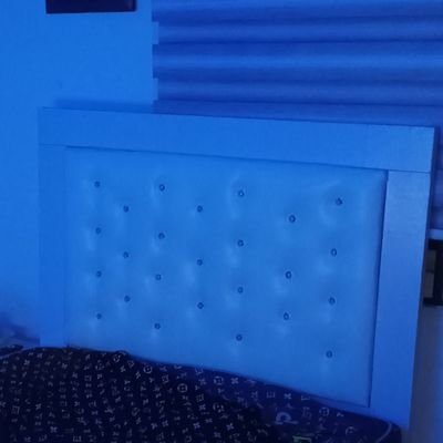 senior_vybz's profile picture. Rules don’t apply