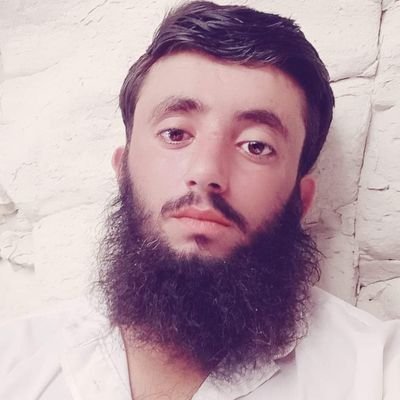 ShahHussainBug4's profile picture. nothing