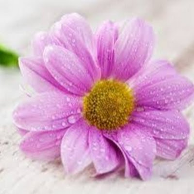 A18592Bwdfy's profile picture. 