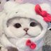 บีมายโฟน📍จำหน่ายไอโฟน ไอแพด มือ2 (@happinesjhysk) Twitter profile photo บีมายโฟน📍จำหน่ายไอโฟน ไอแพด มือ2 (@happinesjhysk) Twitter profile photo