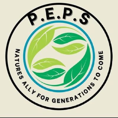 PEPS is involved in creating a clean environment in Mombasa county, we major on sensitization and best practices on a good and efficient waste management system